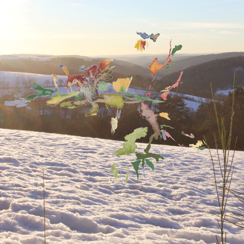 2022-01-14_heimbacher-berg_IMG_0406_50-50, digital montage, 50 × 50 cm (Kirsten Kötter)