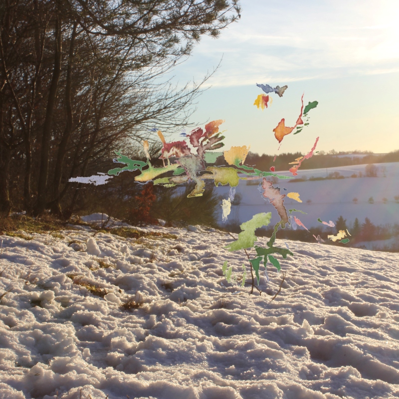 2022-01-14_heimbacher-berg_IMG_0407_50-50, digital montage, 50 × 50 cm (Kirsten Kötter)