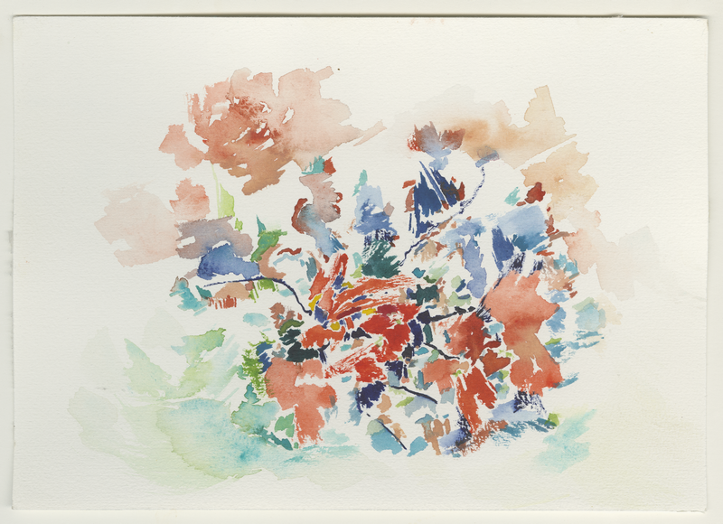 2014_krapp-hummer-rot, watercolour, 17 × 24 cm (Kirsten Kötter)
