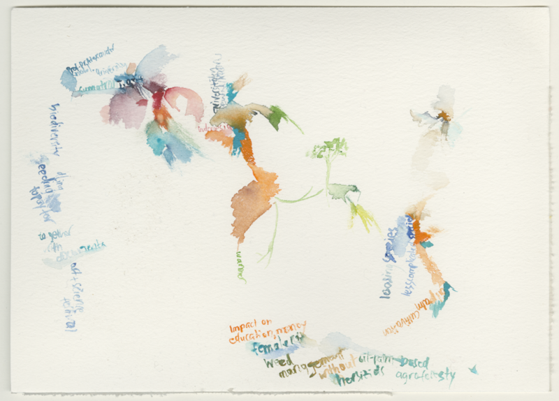 2021-11-05, Symposium "Urun Rembuk", documenta fifteen, watercolour, 17 × 24 cm (Kirsten Kötter): "Collaborative Research Center 990"