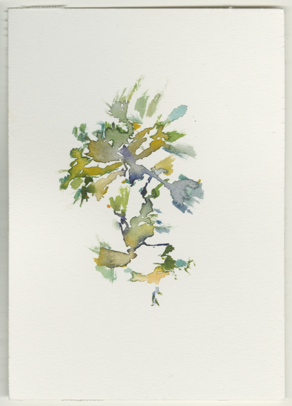 2022-03-02_wi-wildpark-autobahn.png, watercolour, 17 × 12 cm (Kirsten Kötter)